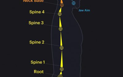 Advanced human torso rig