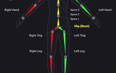 Bones naming in the human character rig